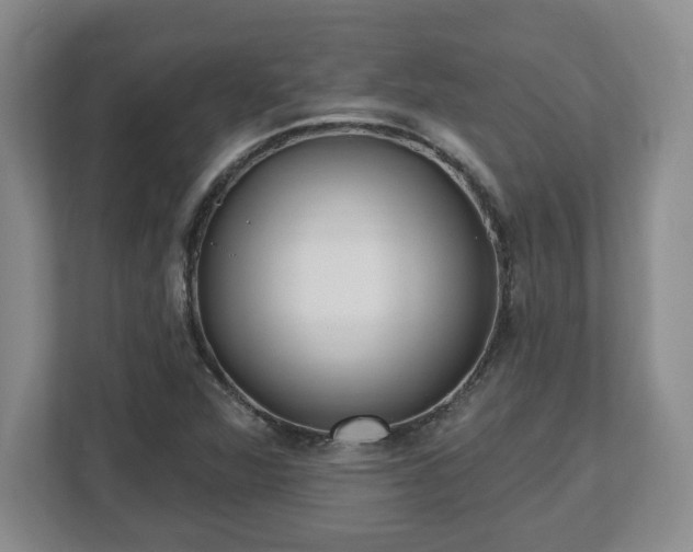 X0000112541360200908241518