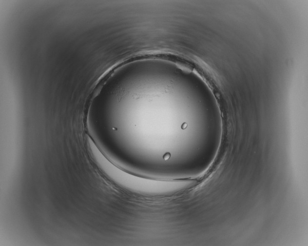 X0000112541361200908241518