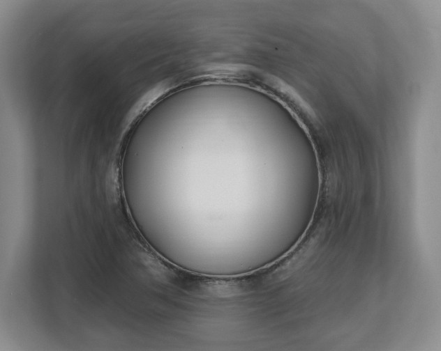 X0000112541362200908241518