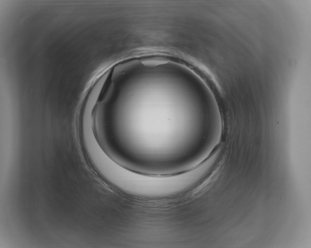 X0000112541365200908241518