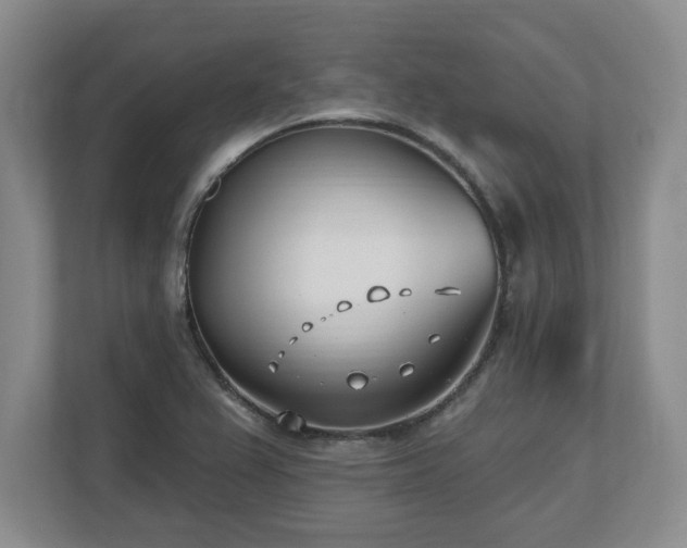 X0000112541367200908241518