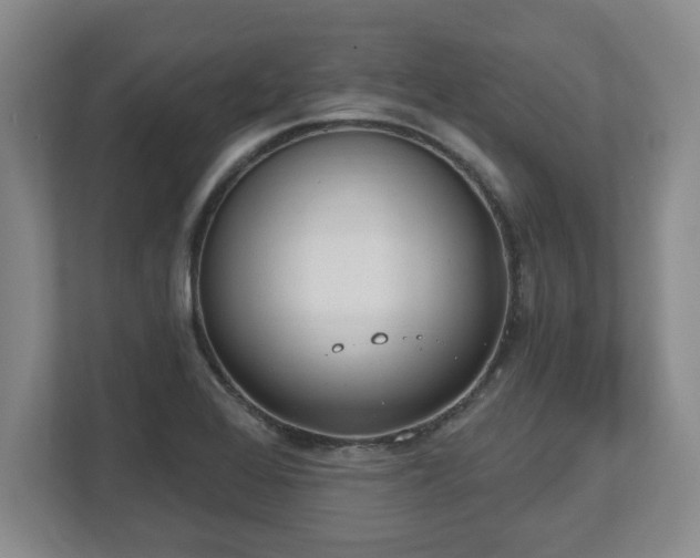 X0000112541368200908241518