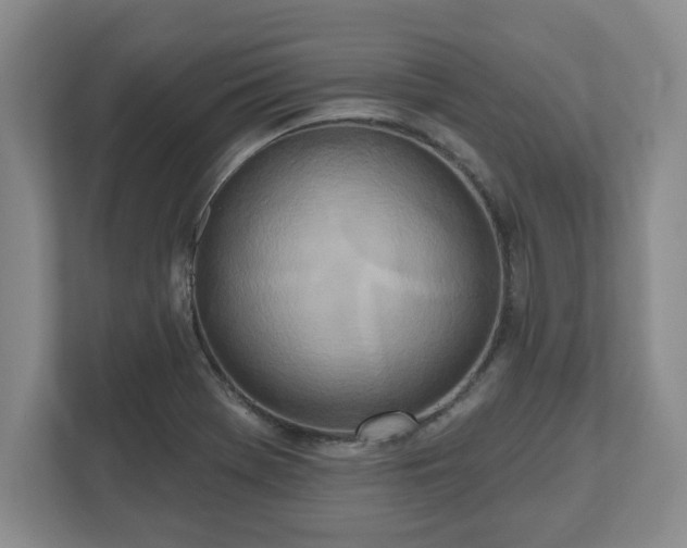 X0000112541369200908241518