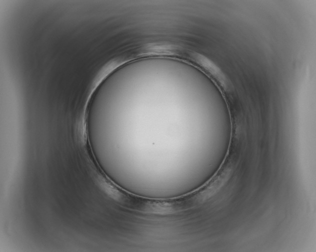 X0000112541370200908241518