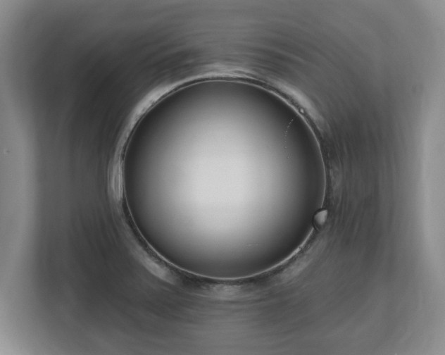 X0000112541371200908241518