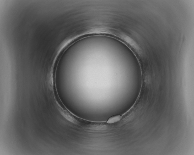 X0000112541372200908241518