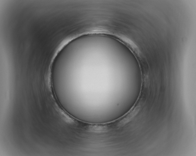 X0000112541374200908241518