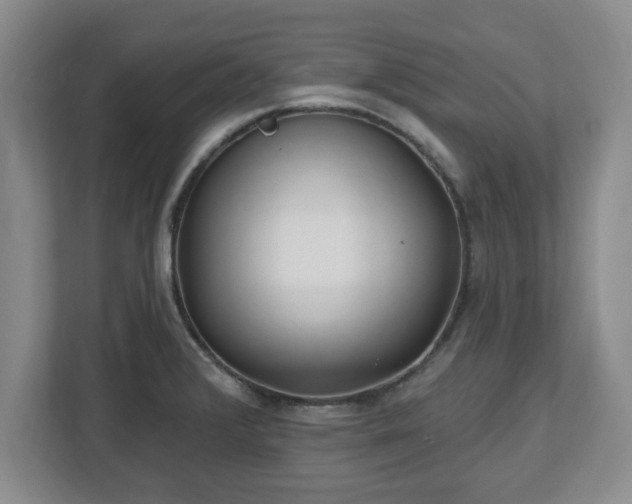 X0000112541376200908241518