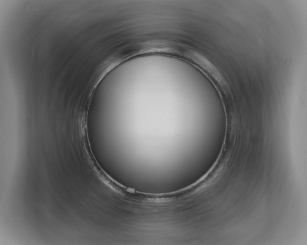 X0000112541377200908241518