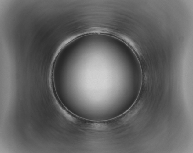 X0000112541379200908241518