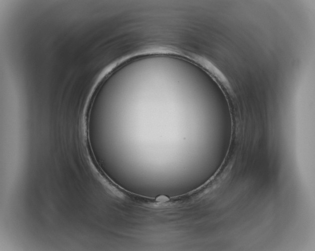 X0000112541380200908241518