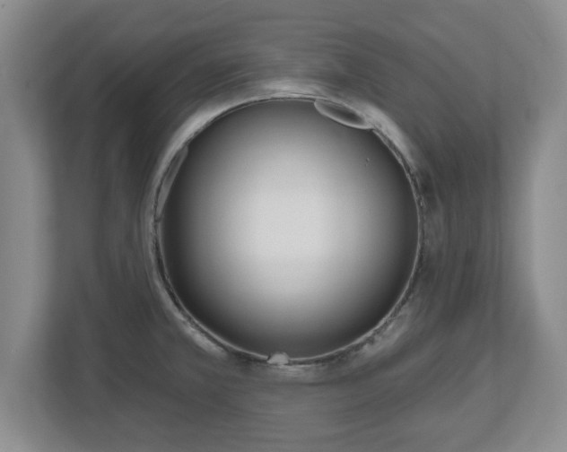X0000112541381200908241518