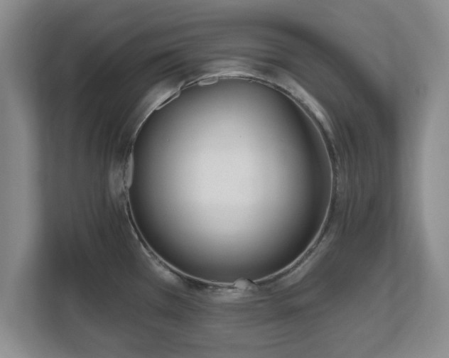 X0000112541385200908241518