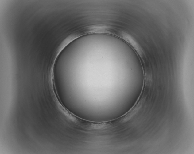X0000112541386200908241518