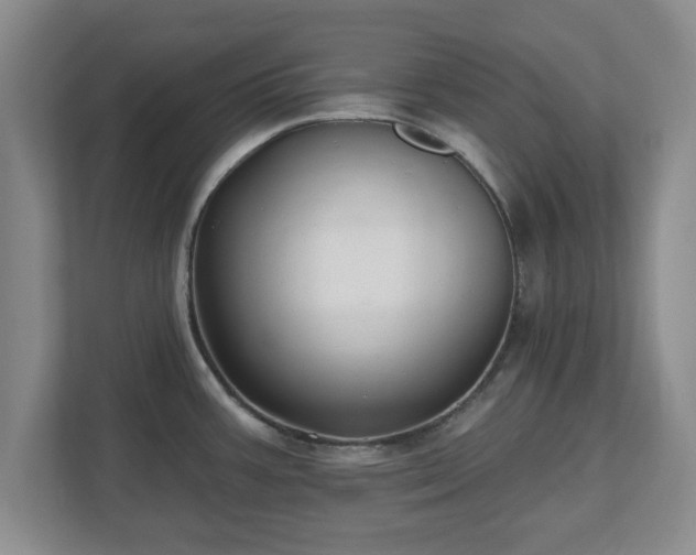X0000112541387200908241518