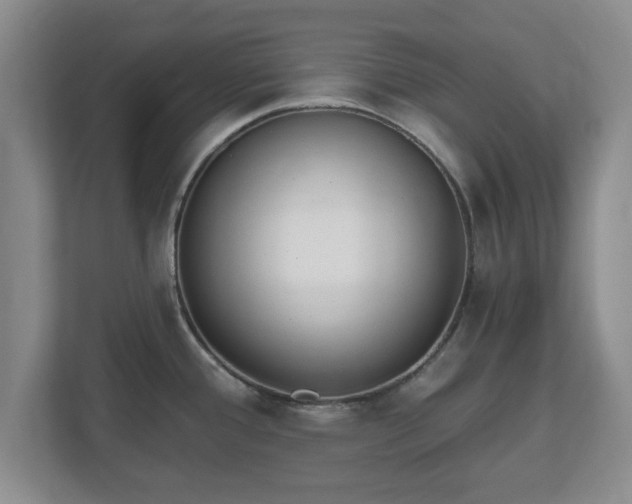 X0000112541388200908241518