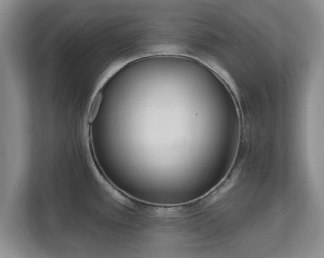 X0000112541389200908241518