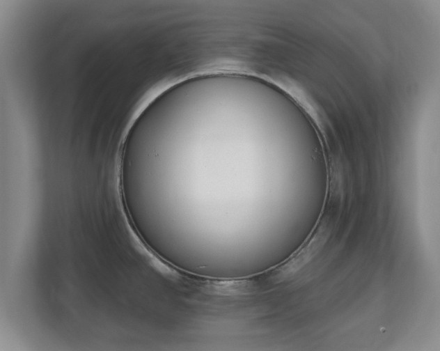 X0000112541390200908241518
