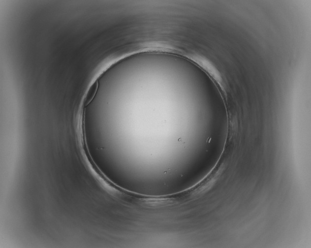 X0000112541391200908241518