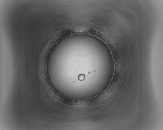 X0000112541393200908241517