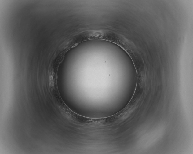 X0000112541394200908241517