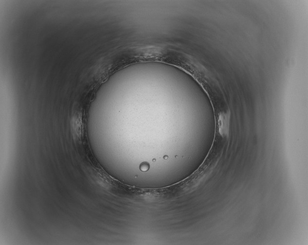 X0000112541395200908241517