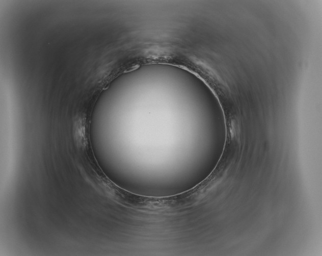 X0000112541396200908241517