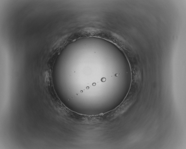 X0000112541397200908241517