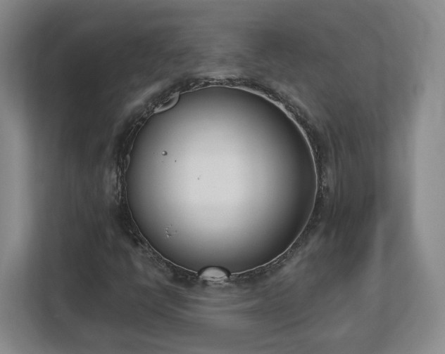 X0000112541398200908241517