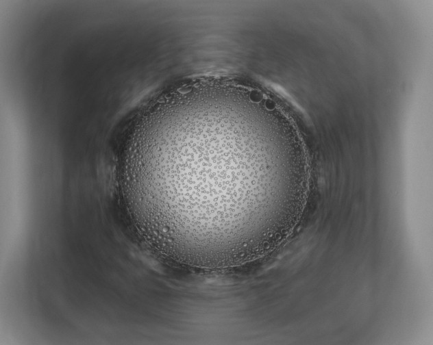 X0000112541399200908241517