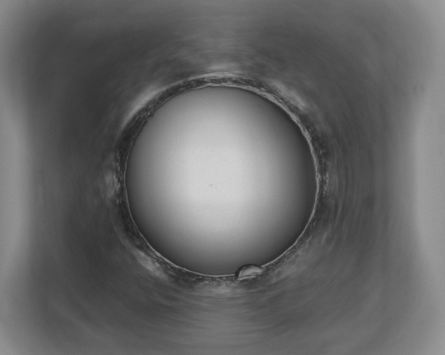 X0000112541400200908241517