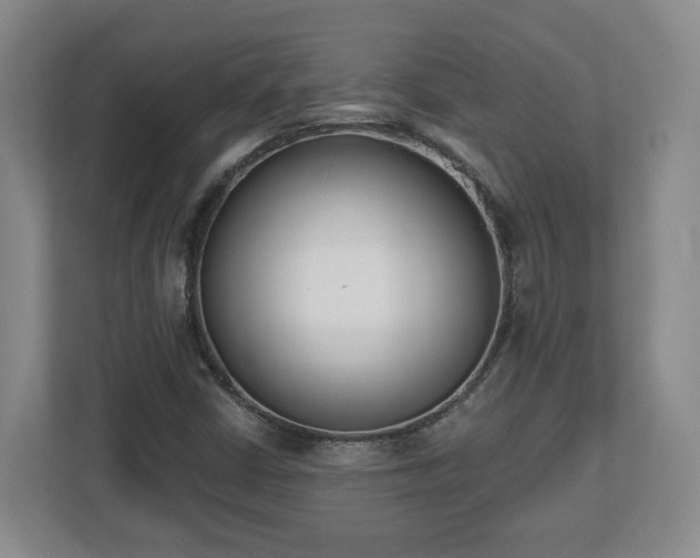 X0000112541402200908241517