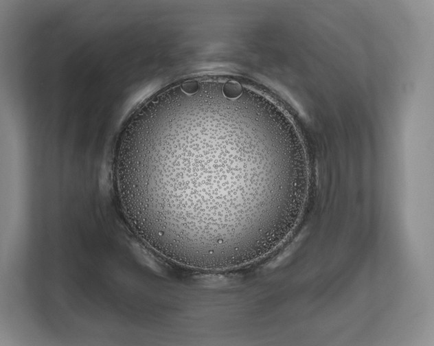 X0000112541405200908241517