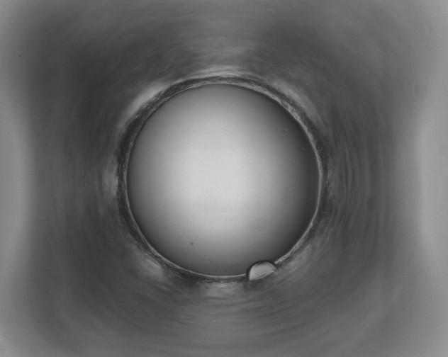X0000112541406200908241517