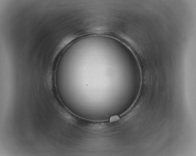 X0000112541410200908241517