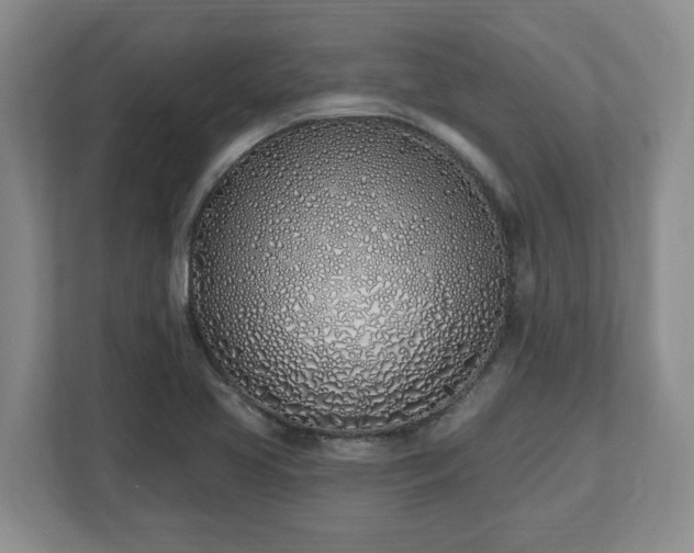 X0000112541413200908241517