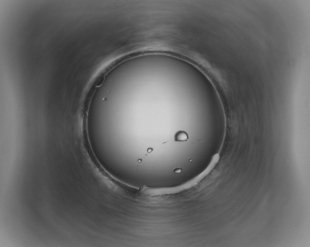 X0000112541416200908241518