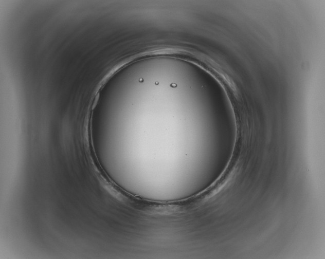 X0000112541417200908241518