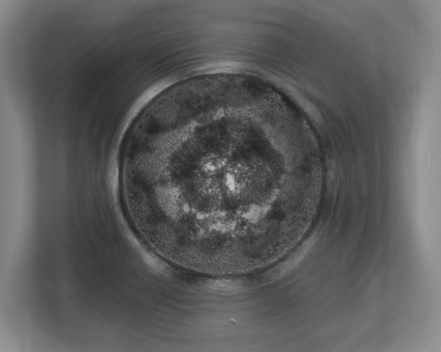 X0000112541418200908241518