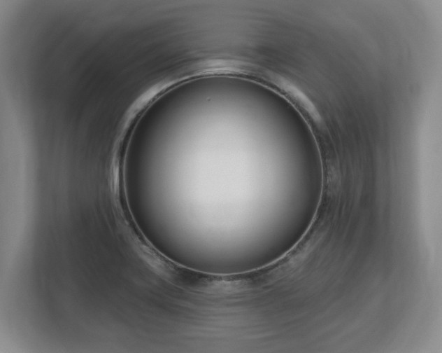 X0000112541419200908241518