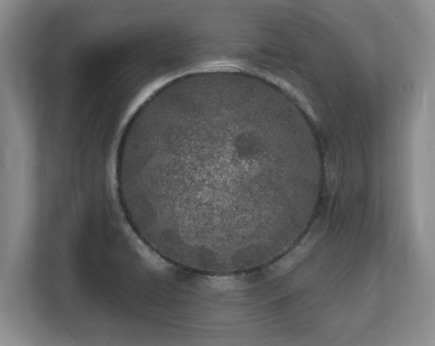 X0000112541422200908241518