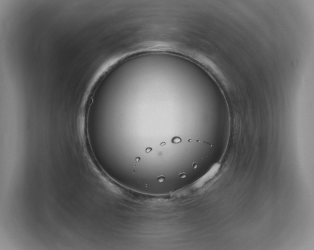 X0000112541424200908241518