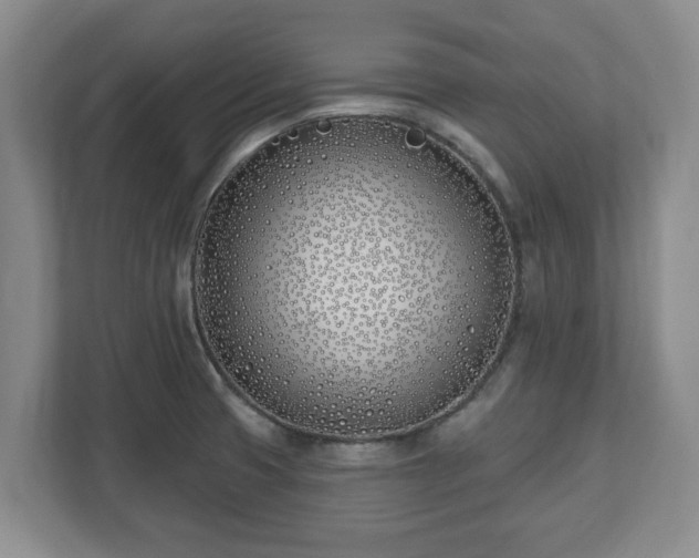 X0000112541425200908241518