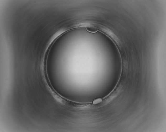 X0000112541426200908241518