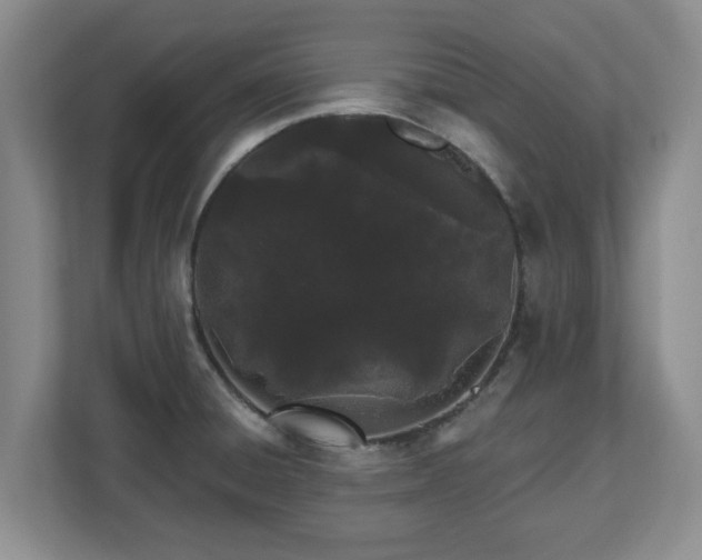X0000112541428200908241518