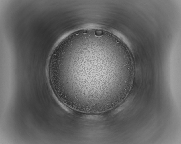 X0000112541429200908241518