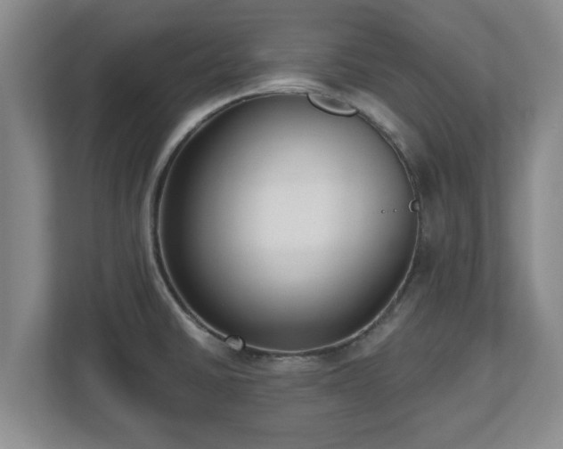 X0000112541430200908241518