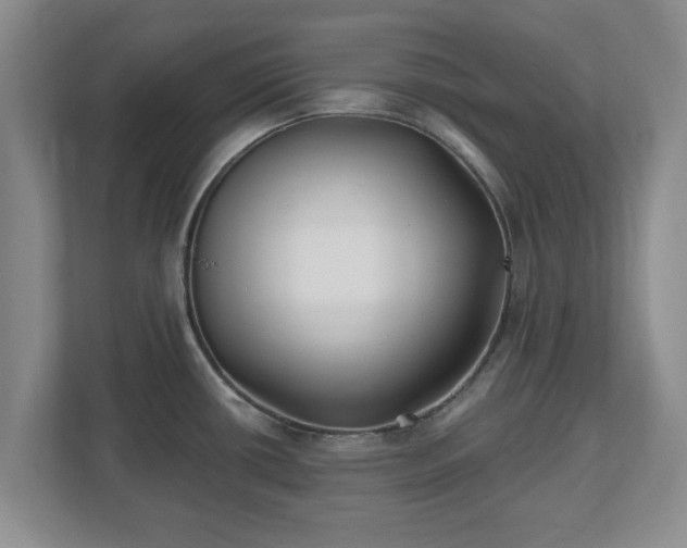 X0000112541434200908241518