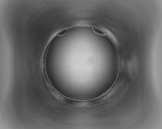 X0000112541435200908241518