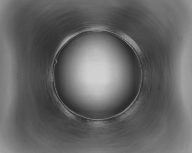 X0000112541436200908241518